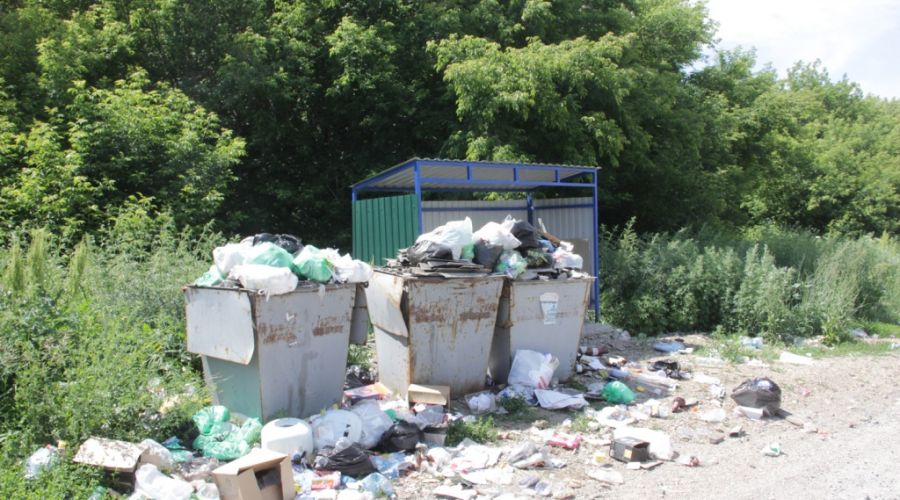 Змеиногорск столкнулся с мусорным коллапсом