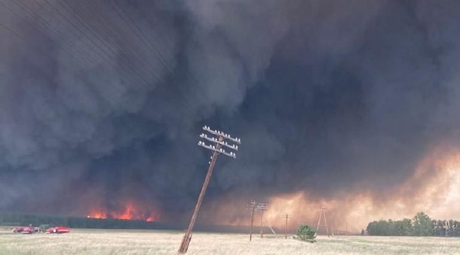 Алтайский лес охвачен пламенем