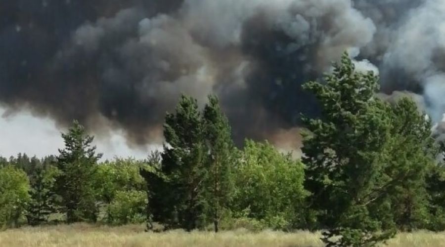 Спасатели локализовали масштабный лесной пожар в Михайловском районе