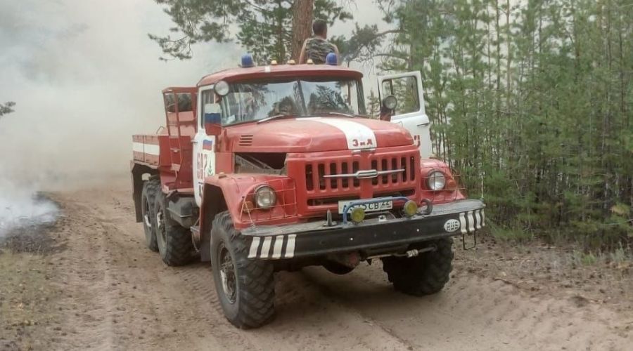 В Михайловском районе остановили продвижение разгоревшегося лесного пожара