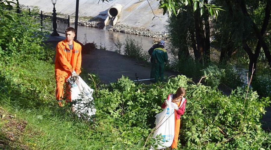 В Барнауле появилась новая сила для озеленения и наведения порядка на улицах