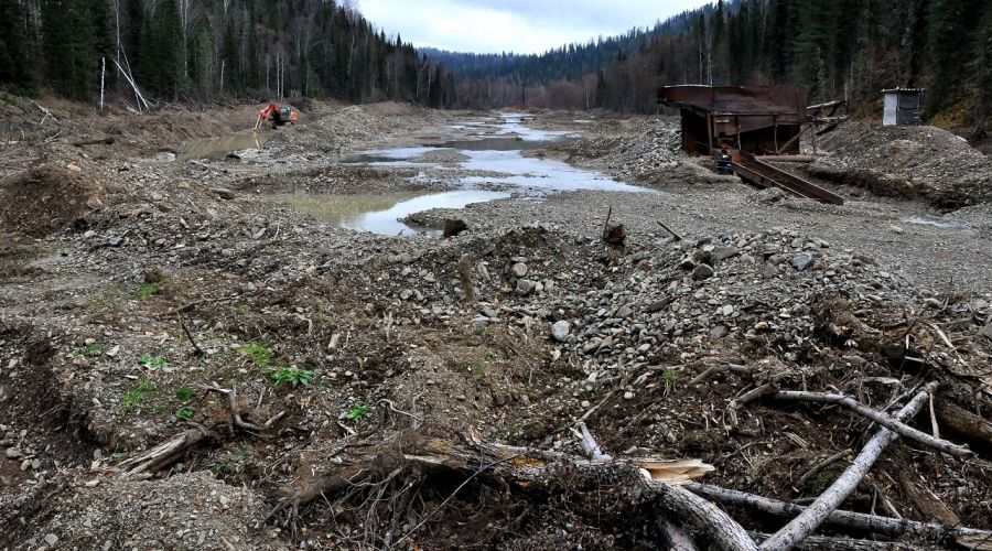 Участок реки после добычи золота в Алтайском крае