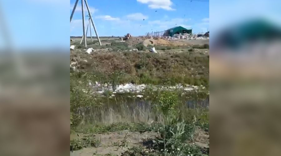 Стаи птиц и кучи мусора: рубцовчан возмутила нелицензированная работа комплекса по сортировке отходов