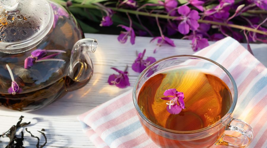 Алтайские производители после слов Владимира Путина выразили готовность нарастить производство иван-чая