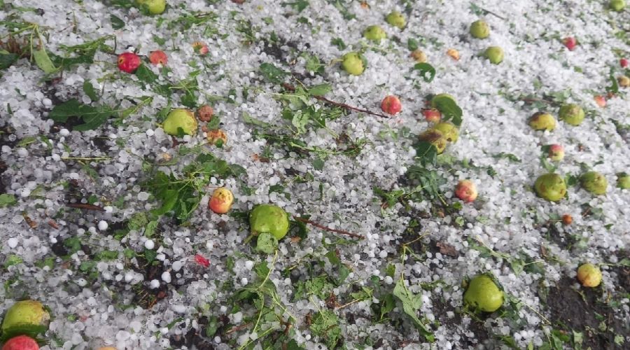 Еще три района Алтайского края пострадали от пришедшей в регион непогоды