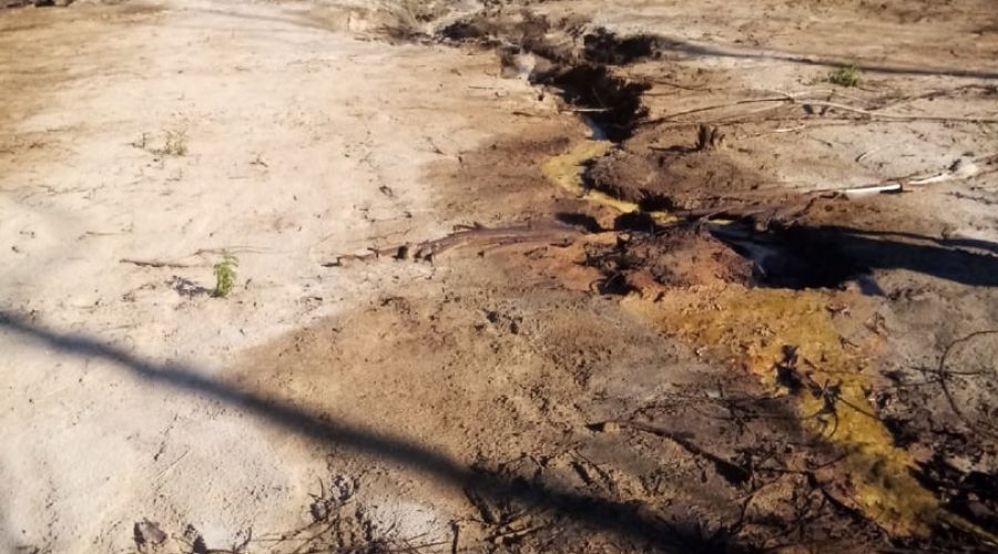 Барнаульцы вновь обратили внимание на стоки нефтепродуктов в Обь с «традиционного» места