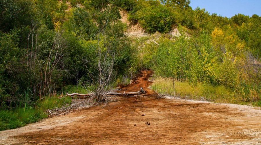 Прокуратура снова проверит жалобы барнаульцев на загрязнение Оби нефтепродуктами