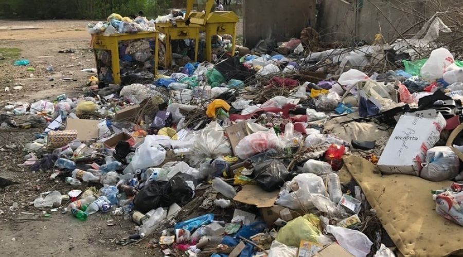 И утащит за бачок: рубцовский регоператор планирует оставить без мусорных контейнеров детсады, школы и мэрию