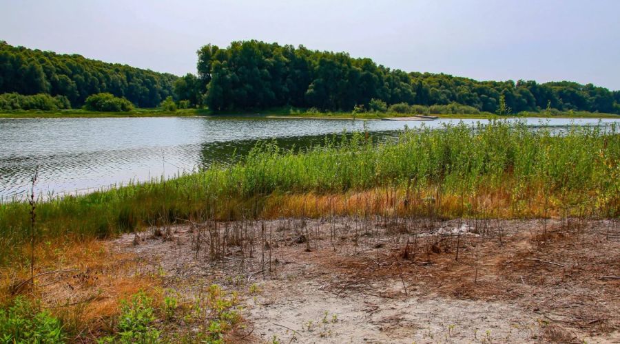 Дело о загрязнении барнаульского берега Оби нефтепродуктами «приросло» новыми ответчиками