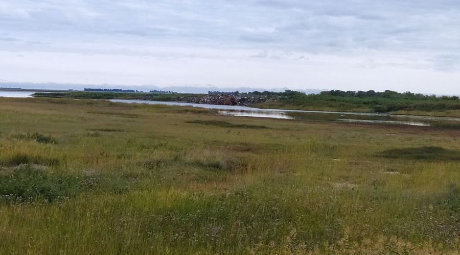 Глава Благовещенки ответил на претензии граждан к «подтопляемому» полигону ТКО