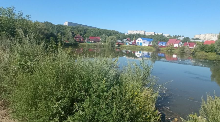 Алтайские «фронтовики» предложили барнаульцам взять шефство над зарастающей мусором Пивоваркой