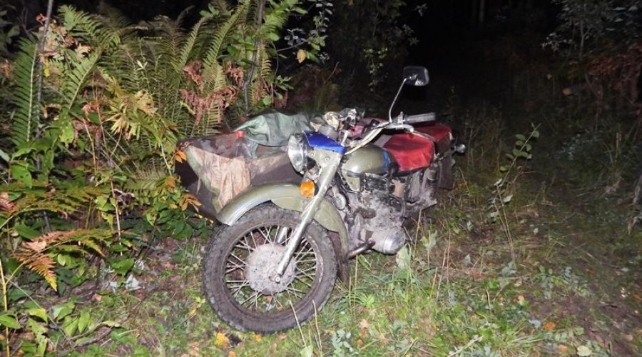 Браконьер из Алтайского края признался в незаконном отстреле молодого лося