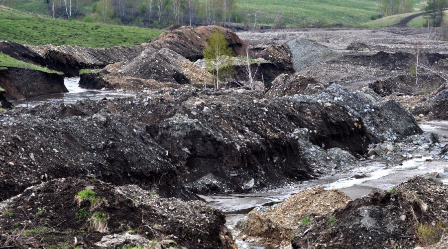 Росприроднадзору грозит прокурорская проверка из-за разрешения изъять краснокнижные растения с «золотого» участка на Алтае