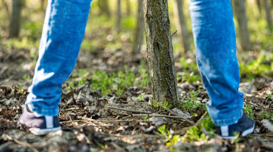 Мэрия Барнаула подтвердила отсутствие у водителей маршрута № 51 «технической возможности» облегчаться чаще раза в 2 часа