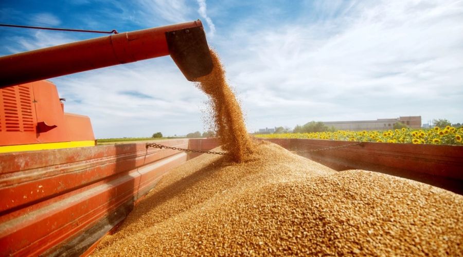 Сбер в Сибири профинансировал агропромышленный комплекс на 45 млрд рублей