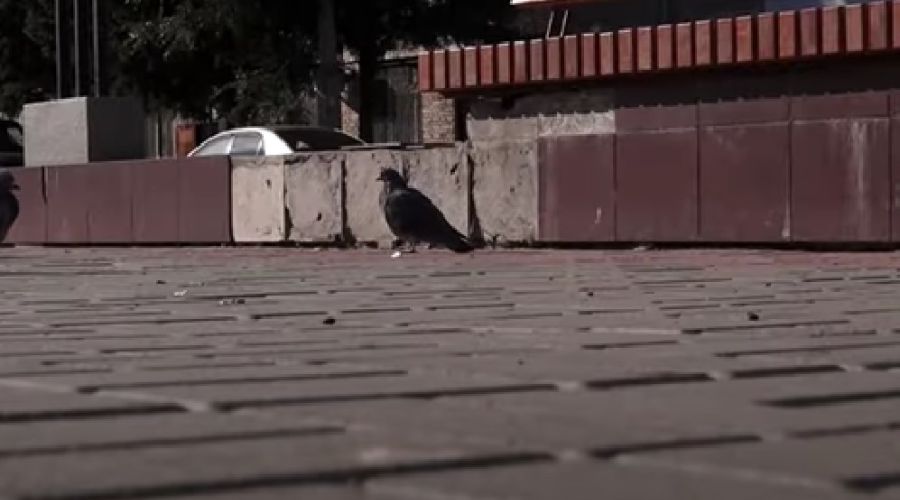 Плитка, по которой возникли претензии