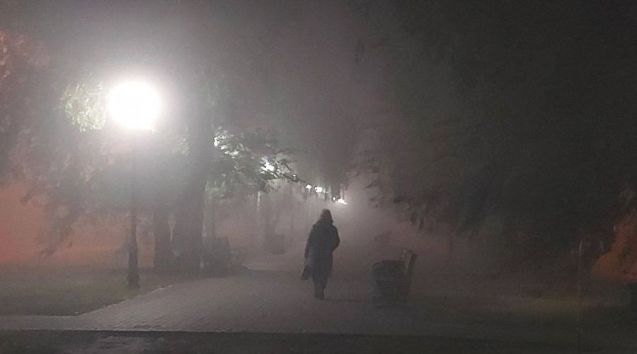 Воздушное сообщение с Барнаулом скорректировали из-за сильного тумана