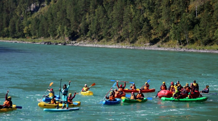 Прокуратура разбирается с продажей земли под проект для инвалидов близ Манжерока