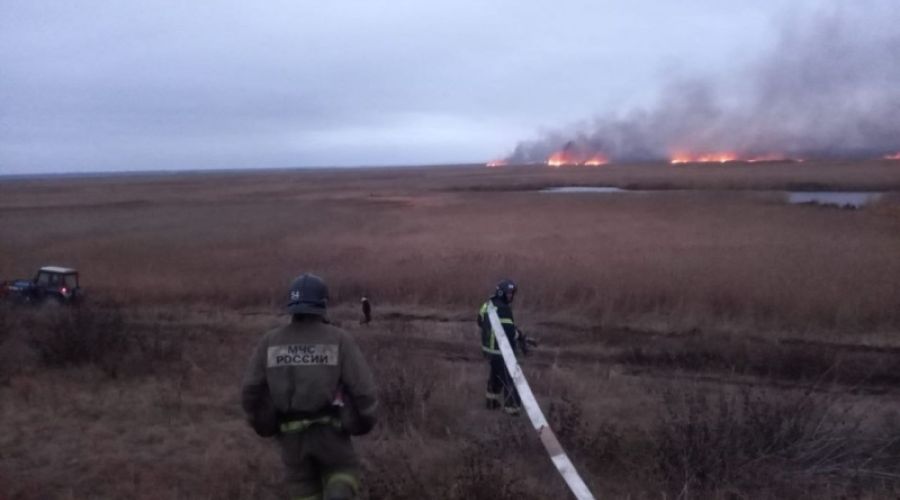 Преградили путь огню: пожарные не допустили перехода ландшафтного пожара на алтайское село