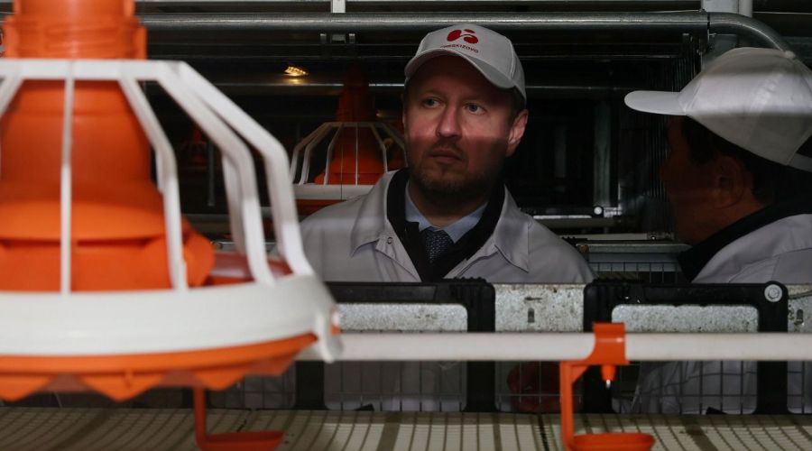 Алтайский губернатор и основатель «Черкизово» оценили перспективы региона в птицеводстве