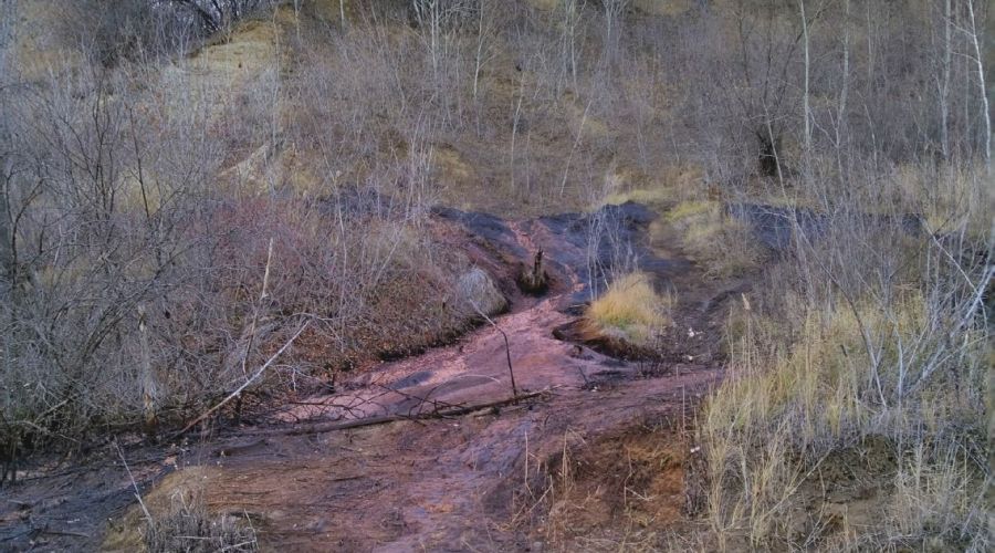 Спавшая вода в Оби обнажила масштабы загрязнения берега за барнаульской нефтебазой