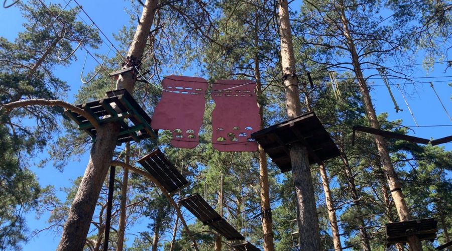 Хозяин веревочного парка в Барнауле признал вину за серьезные травмы ребенка