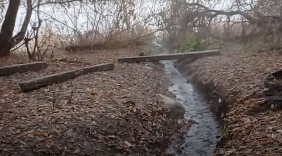 Кто-то нагрел родничок в Бийске: тепловики объяснили взволновавшую жителей наукограда аномалию