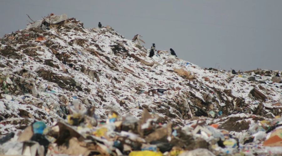 Фото иллюстративное