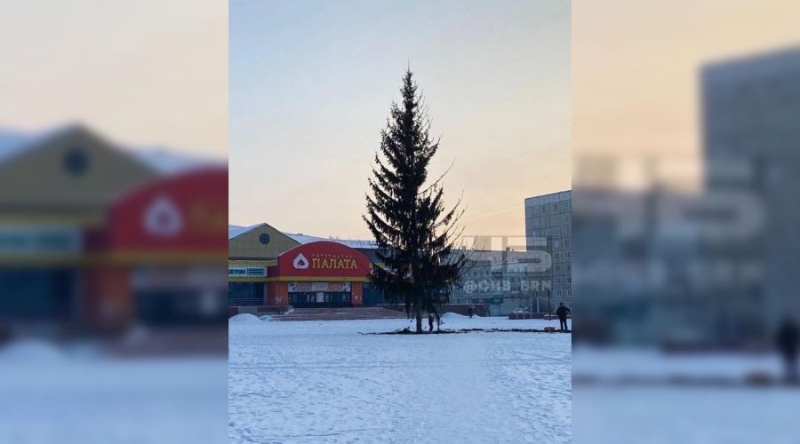 Елочка вам нравится?