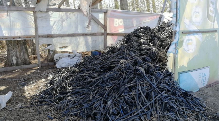 Администрация Рубцовского района пытается избавиться от нерадивых овощеводов по «наводке» краевого Минприроды