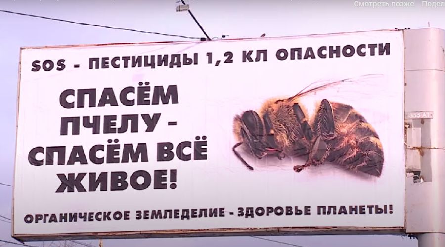 Баннер на улице Ползунова