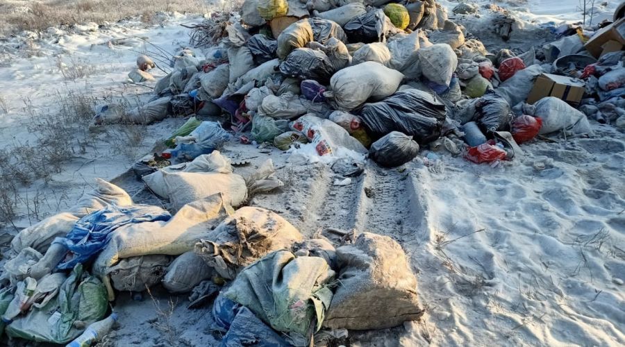 Алтайские экоактивисты решили не проводить митинг против мусорного полигона после беседы с чиновниками