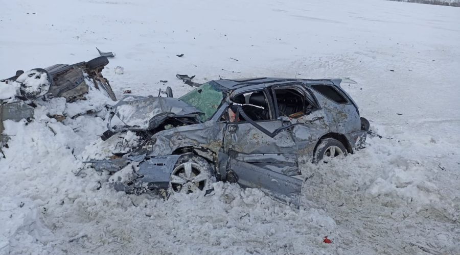 Пять человек погибли в результате ДТП на трассе Барнаул-Рубцовск (обновлено)