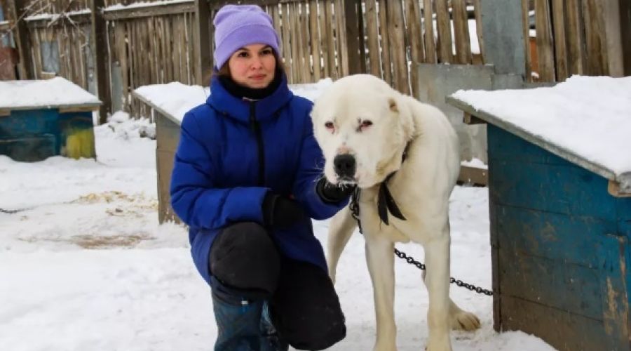 Наталья Панова помогает приюту «Ласка»