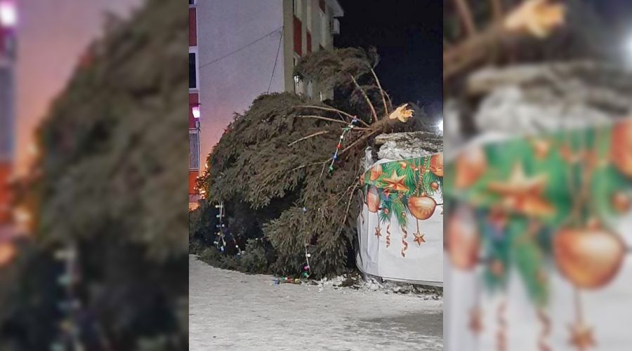 Ураган не оставил от елки Камня на камне