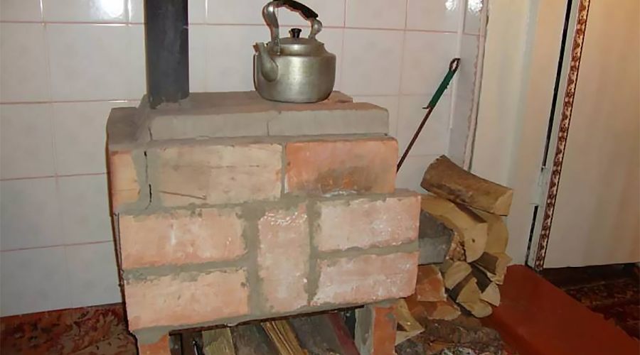 Подкинули дровишек: около четверти участвовавших в переписи алтайских домохозяйств отапливаются печами