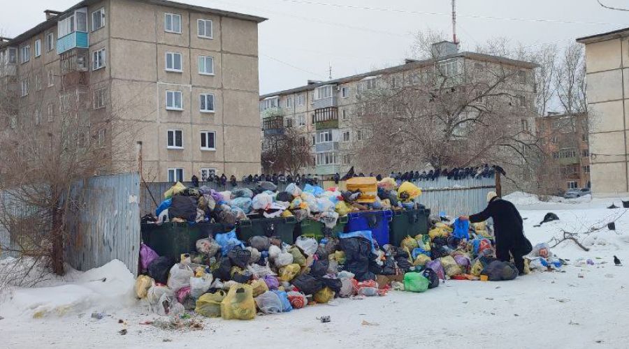 Мэр Рубцовска проехался по помойкам