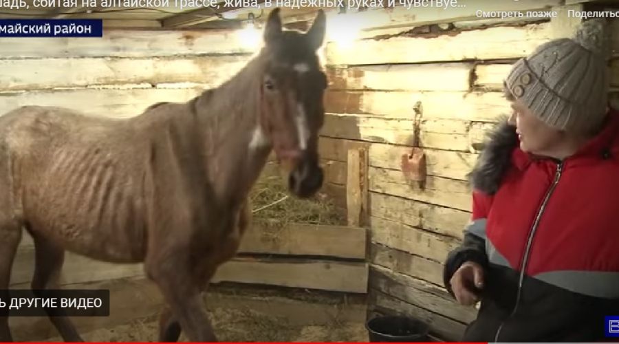 Леди с Натальей Ясаковой