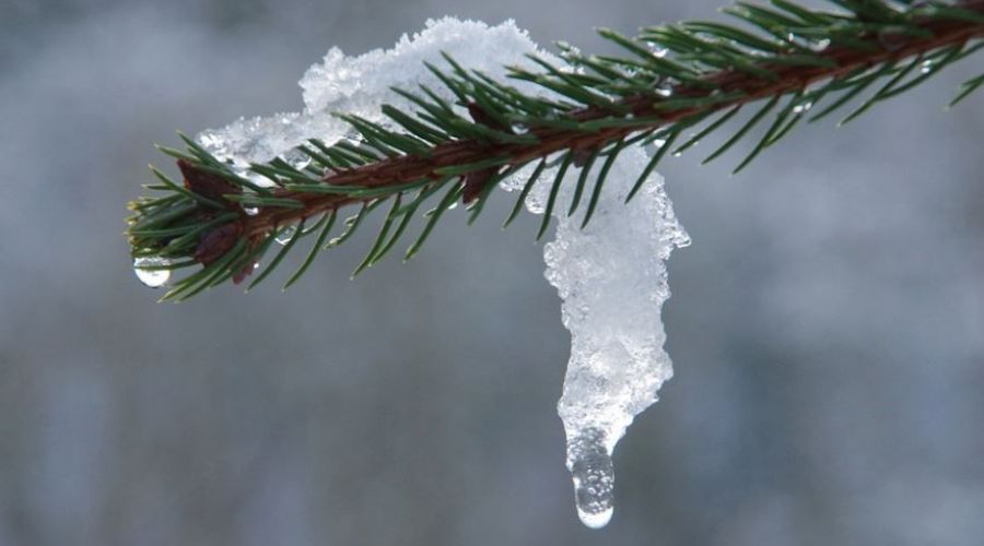 «Ледяная» оттепель: СГК назвала причину роста февральской платы за тепло в Бийске