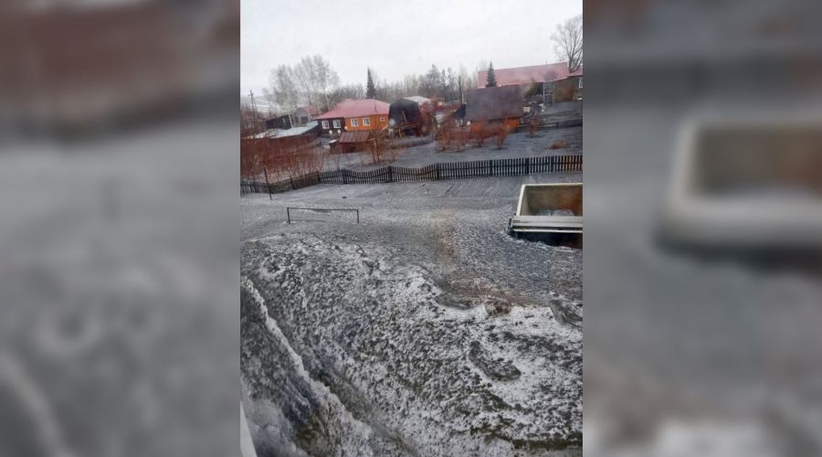 В середине марта змеиногорцы прислали такие снимки