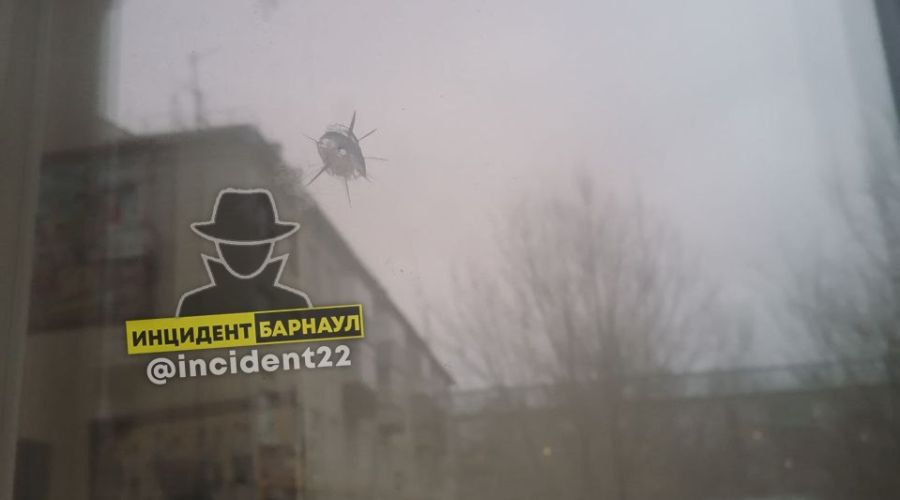 Полиция не стала искать расстрелявшего окна жительницы Барнаула «снайпера»