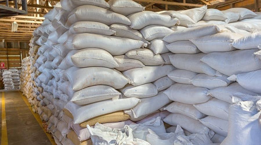 «Не катимся вниз — падаем»: эксперты рассказали о кризисе на зерновом рынке в Алтайском крае