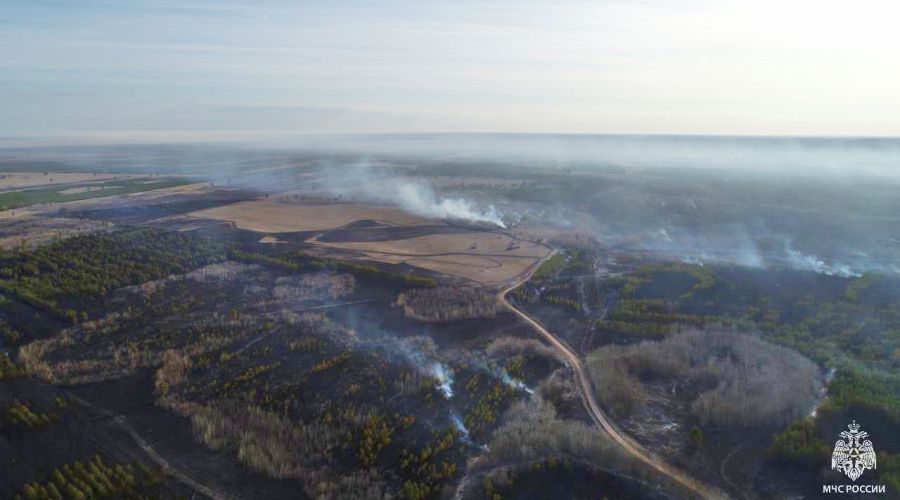 Почти две сотни пожарных и поезд продолжают бороться с огнем в Михайловском районе