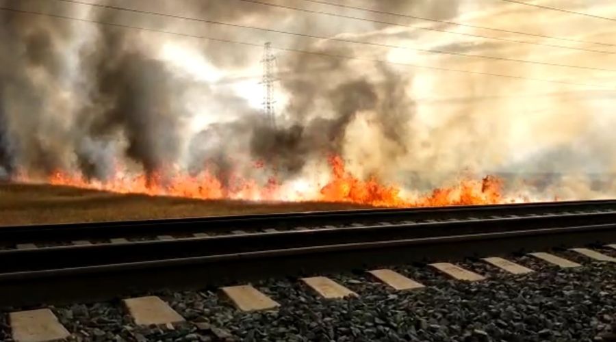 В Панкрушихинском районе крупный ландшафтный пожар едва не перекинулся на сосновый бор