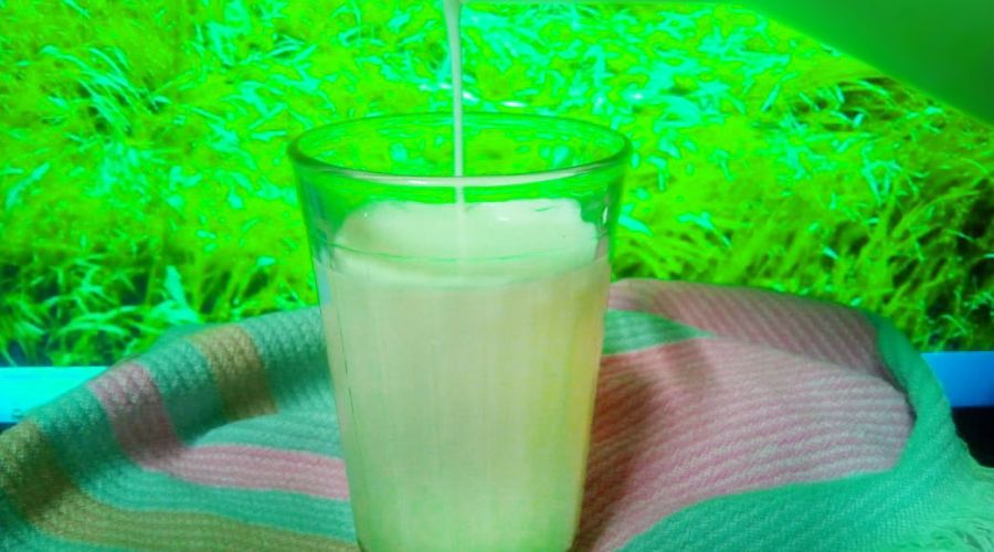 Новые случаи «утилизации» молока вскрыли серые отношения между алтайскими сельчанами и перекупщиками