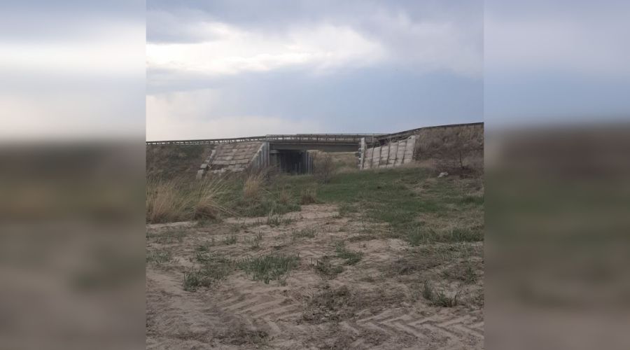 Алтайский Минтранс прокомментировал видео разрушающегося моста в Рубцовском районе