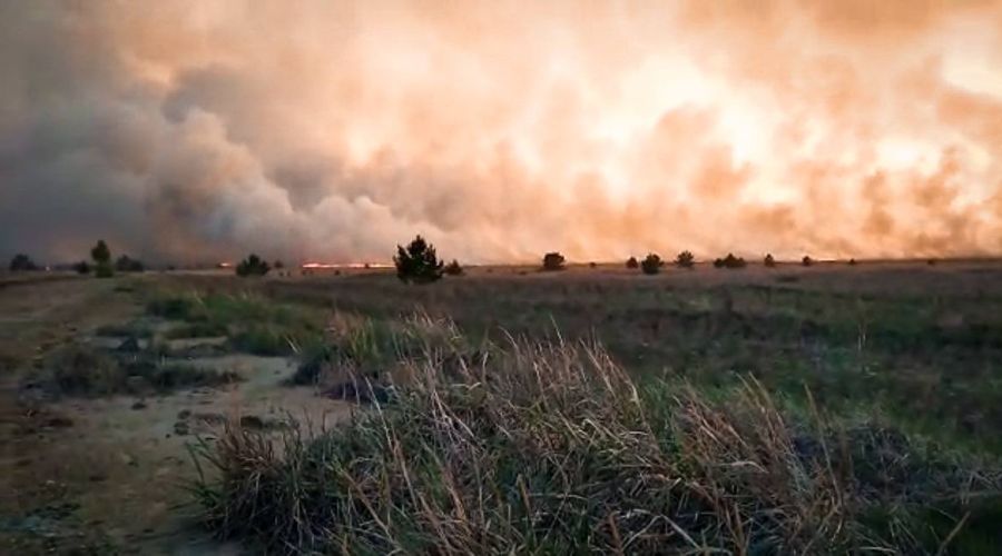 Пожар в Локтевском районе