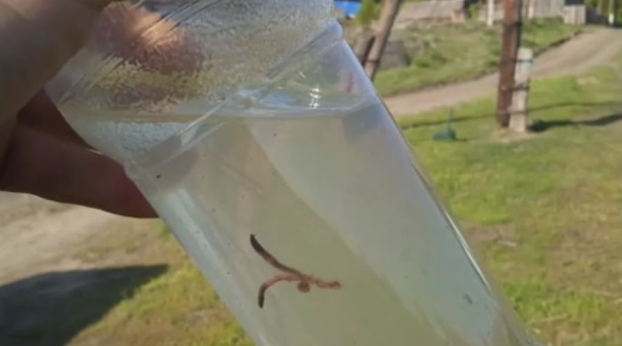 Алтайский сельчанин пожаловался в «Народный фронт» на «низкопробное» водоснабжение