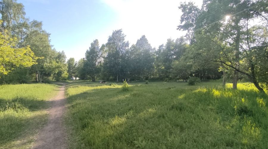 Бывший парк имени Ленина в Барнауле