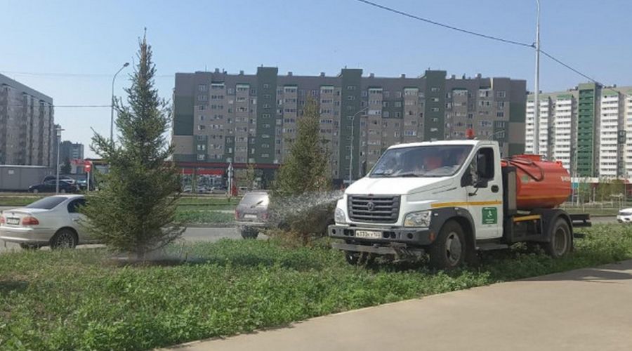 В Барнауле из-за рекордной для края жары поставили «на паузу» высадку цветов